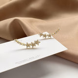 Amaranth – Sweet Blossom