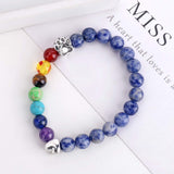 Rainbow Bridge Memorial Bracelet – 7 Chakra Bead Gift for Pet Loss