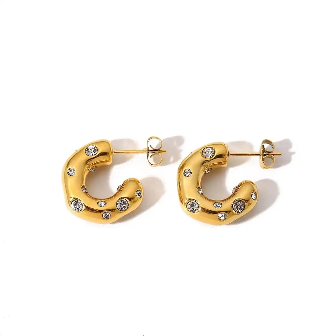 Brilliant Gold Zircon Circle Earrings