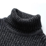 Danoir Paris™ | ROLL NECK JUMPER FOR MEN